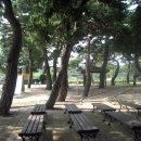 송라초등학교 이미지