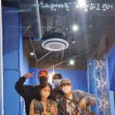 더도옌느 이미지
