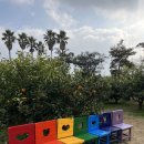 무지개농장 2 이미지