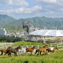 장수산업 티스토리