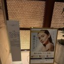 타워스파 | JR 타워 호텔 닛코 스파 마사지 후기