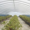 한샘농장 이미지