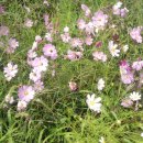 연상농장 이미지