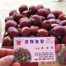 성하농장 이미지