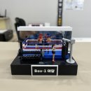 BOX-1복싱야당 이미지