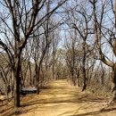 봉제산 법성사 옆 화장실 | [목동역/등촌역] '봉제산 등산 코스, 둘레길 코스' 대일고 시작 원점회귀 코스, 난이도 하 (봉제산책...