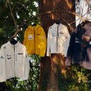 데상트(DESCENTE) 이미지