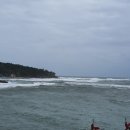 진하농장 이미지