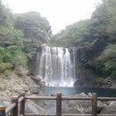 천제연폭포 이미지