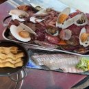 지금조개 이미지