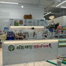 앵무새 | 겨울에 아기랑 가기 좋은 곳 | 서산리프패럿 앵무새 체험 후기