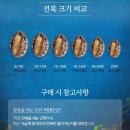 청용수산 - 포항시 북구 삼호로 487-7 | 청용수산