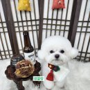 댕블랑 이미지