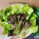 우리경봉환경 이미지