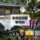 3824 | [충남 서산 가볼만한곳] 부석사, 소원돌과 금동관세음보살좌상 본 후기