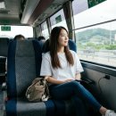 훼미리마트 | 사상시외버스터미널 위치 시간표 노선 물품보관위치