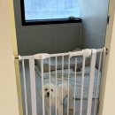 파라다이스유치원 이미지