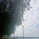 역삼-1530 이미지