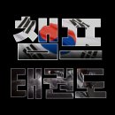 기합소리태권도 | [효성동태권도] #잘생긴관장님 #국회동심한마당 #초청 #시범 #공연 #시범단