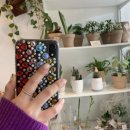 하단동1004 | 2021년 안녕❤️ 잘 지내봐