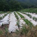 송암농원 이미지