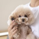5685 농민신문