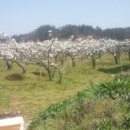 성근농장 이미지