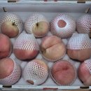 다올농산 - 용인시 처인구 석성로 879-10 | 다올농산