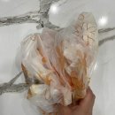 홍가뽈찜 네이버블로그