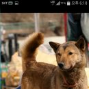 동복주유소 이미지