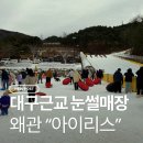 칠곡IC 좌측 | 대구근교 아이랑 가볼만한곳 왜관 눈썰매장 이용후기 [클럽아이리스]