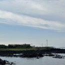 UR(서귀포시)-[동일하모로]-하-12 | 8월 3박 4일 제주여행 기록(3, 4일차)