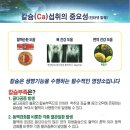에이펙셀(주) 이미지