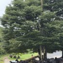 우리목장 | 평창 산너미목장 방문 후기 🌿🐐 자연 속에서 만난 자유로운 힐링