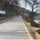 전주 두꺼비 이미지