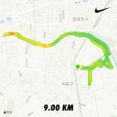 여주-1121 | 공복 러닝 후 아몬드 우유와 멸치 땅콩 조합, 집중력에 포만감까지 가득