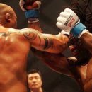 펀치킥 복싱 킥복싱 트레이닝센터 이미지