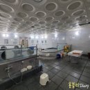 토정24시사우나찜질방 이미지