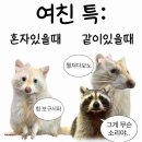 몽펫푸드 | 11/24 ~ 11/30