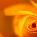 미소한의원 이미지