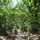 도봉골농장 | (도봉산)아카시아향 가득한 우이암