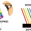 빛의 소나타 이미지