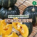 태진농장 이미지