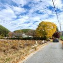 소천초등학교두음분교장 이미지