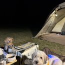 두류칼국수 이미지