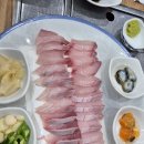 방어둔전 | 용인 둔전 회 센터 제철 대방어 후기