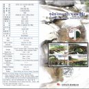 창선우체국 | [우표]한국의 다리 시리즈