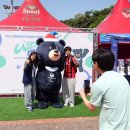 림스포츠