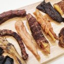 명랑견생 이미지