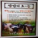 수완농장 | 수완지구 쌈밥 맛집 추천: 남도쌈밥 수완본점🍚